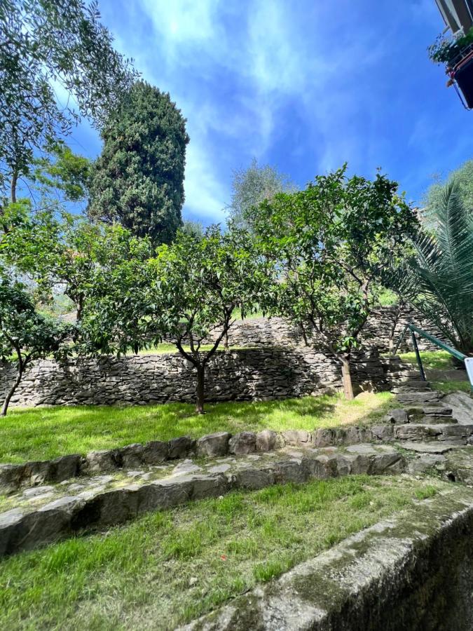 Blue Garden Leilighet Rapallo Eksteriør bilde